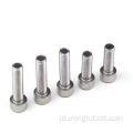 Stainless Steel 304 316 Minglu Allen Bolt